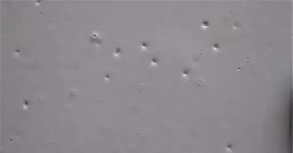 乳胶漆消泡剂应用